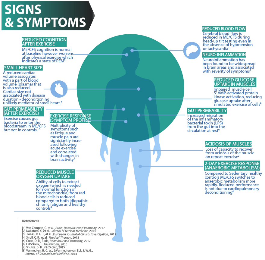 Infographic. A silhouette of a man's body. Title: SIGNS & SYMPTOMS.

- REDUCED COGNITION AFTER EXERCISE: ME/CFS cognition is normal at baseline however worsens. after physical exercise which indicates a state of PEM

- SMALL HEART SIZE: A reduced cardiac volume associates with a part of blood volume (plasma) that is also reduced. Cardiac size not associated with disease duration - deconditioning unlikely mediator of small heart.

- GUT PERMEABILITY (AFTER EXERCISE): Exercise causes gut bacteria to enter the bloodstream in ME/CFS but not in controls.

- EXERCISE RESPONSE (SYMPTOM PROFILE): Multiplicity of symptoms such as fatigue and muscle pain are signiciantly incre- ased following acute exercise and correlated with changes in brain activity.

- REDUCED MUSCLE OXYGEN UPTAKE Ability of cells to extract oxygen (which is needed for normal function of the mitochondria) from red blood cells is reduced compared to both idiopathic chronic fatigue and healthy controls.

- REDUCED BLOOD FLOW: Cerebral blood flow is reduced in ME/CFS during head-up tilt testing even in the absence of hypotension or tachycardia.

- NEURO-INFLAMMATION: Neuroinflammation has been found to be widespread in brain areas and associated with severity of symptoms.

- REDUCED GLUCOSE UPTAKE IN MUSCLES: Impaired muscle cell 5' AMP-activated protein kinase activation, reducing glucose uptake after simulated exercise of cells.

- GUT PERMEABILITY: Increased migration of the inflammatory bacterial toxin (LPS) from the gut into the circulation at rest.

- ACIDOSIS OF MUSCLES: Loss of capacity to recover from acidosis of the muscle on repeat exercise.

- 2-DAY EXERCISE RESPONSE (ANAEROBIC METABOLISM): Compared to Sedentary healthy controls ME/CFS switches to anaerobic metabolism more rapidly. Reduced performance is not due to cardiopulmonary deconditioning.

References:
[1] Van Campen, C. et al., Brain, Behaviour and Immunity, 2017
[2] Nakatomi Y., et al., Journal of Nuclear Medicine, 2014
[3] Jones, D. E. J., et al., European Joumal of Clinical Investigation, 2012
[4] Snell, C. R., et al., Physical Therapy, 2013
[5] Cook, D. B., Brain, Behaviour and Immunity, 2017
[6] Giloteaux, L., Microbiome, 2016
[7] Shukla, S. K., PLOS ONE, 2015
[8] Vermeulen, R. C. W., & Vermeulen van Eck, I. W. G.,
Journal of Translational Medicine, 2014

